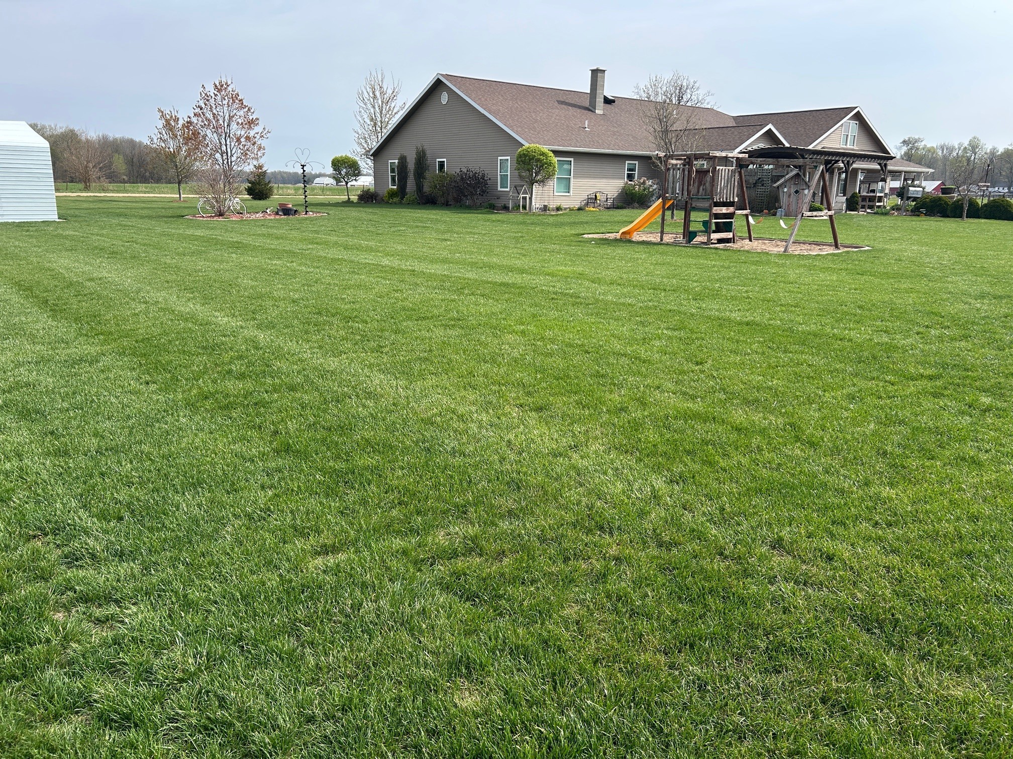 All Purpose lawn seed mix - works in almost any situation.