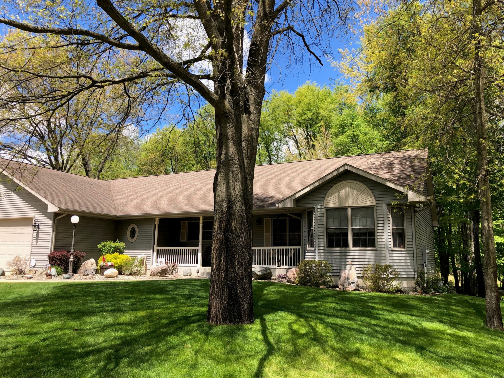 Perfect Spot for a Premium Shade Grass Seed Mix
