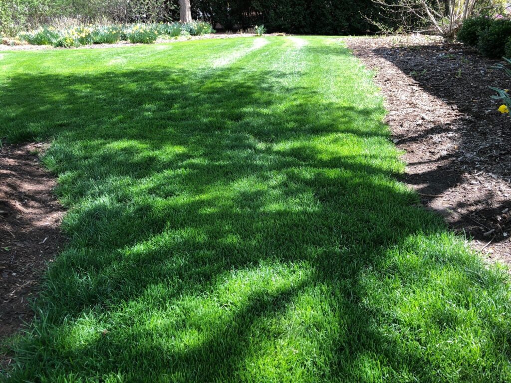 This is an area where a premium shade mix will do well. 